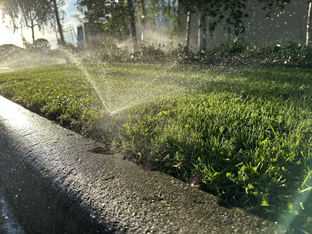 Lawn sprinklers watering grass in the sunlight