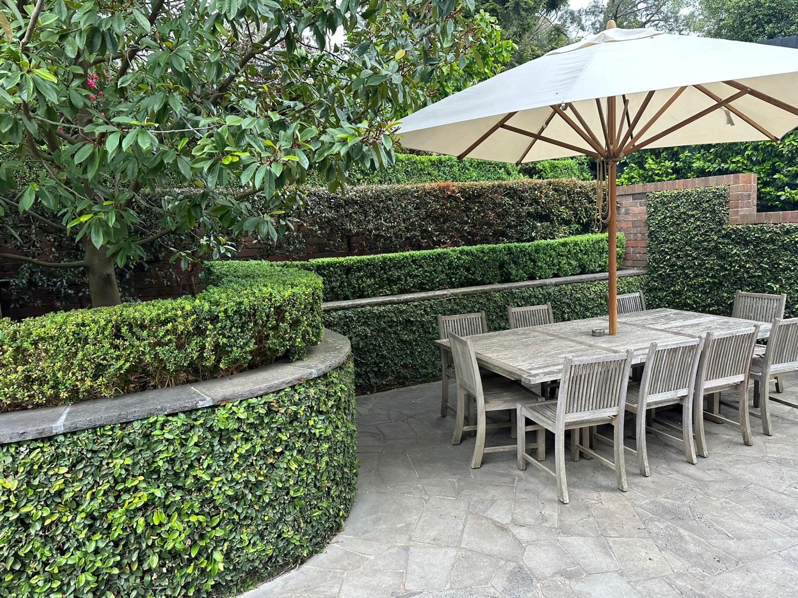 Finished garden dining terrace with curved clipped hedges, stone paving and a shaded timber dining setting
