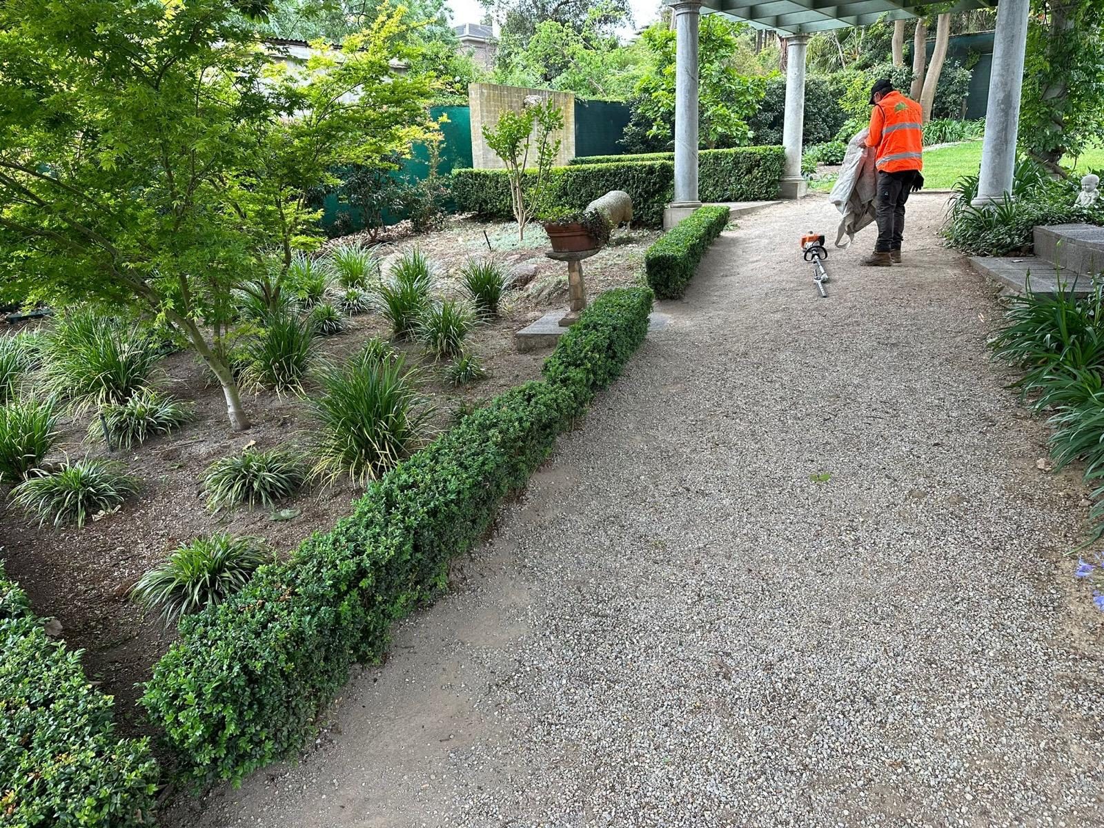 Eden team member tending a gravel path with low box hedges and new garden beds