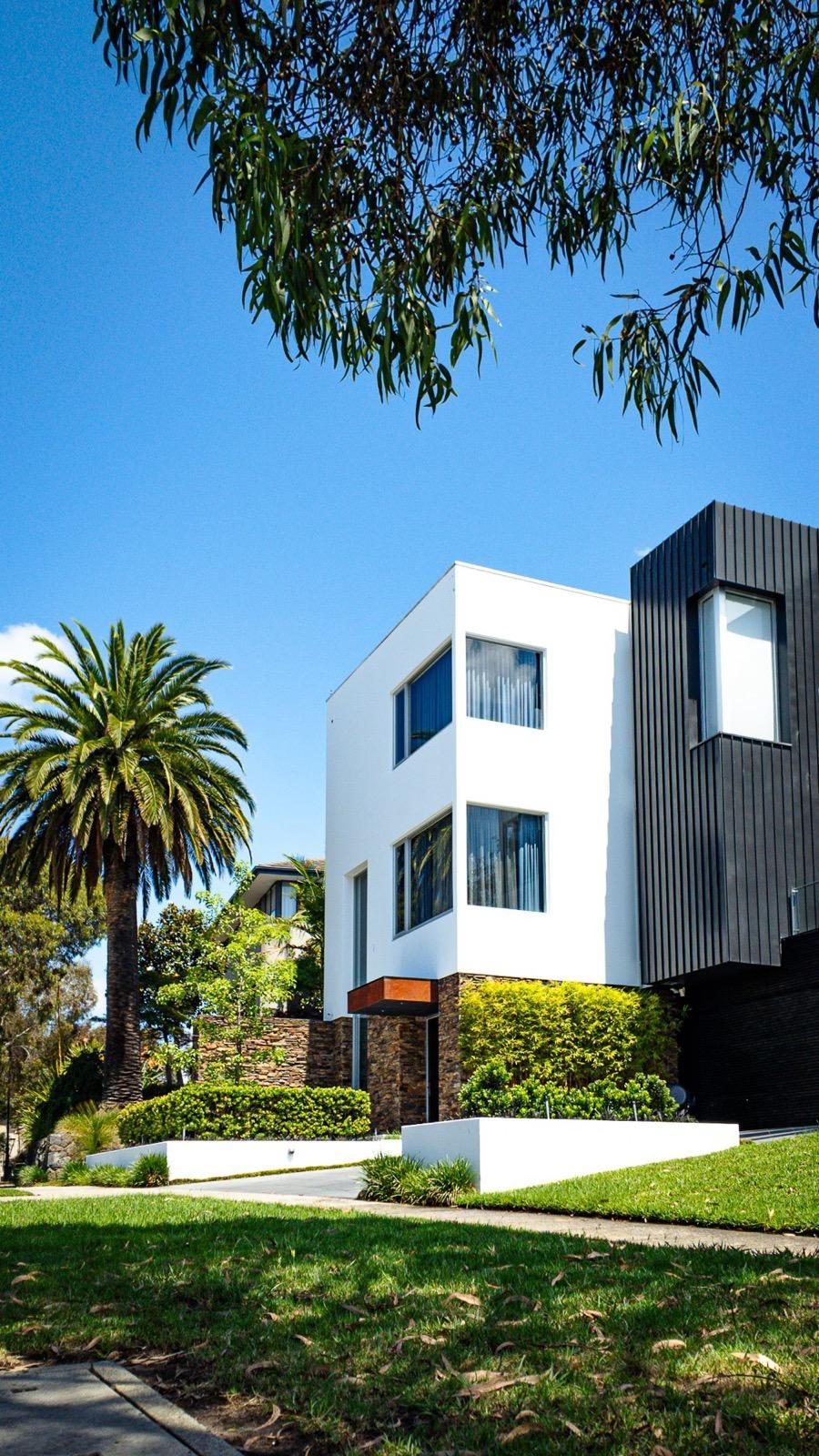 Modern white home with layered street-front garden, palm and clipped hedging