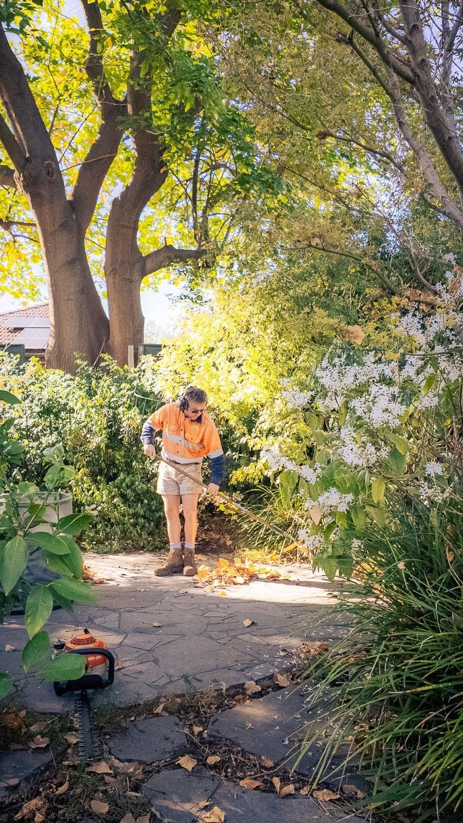 Gardener clearing autumn leaves from a stone garden path