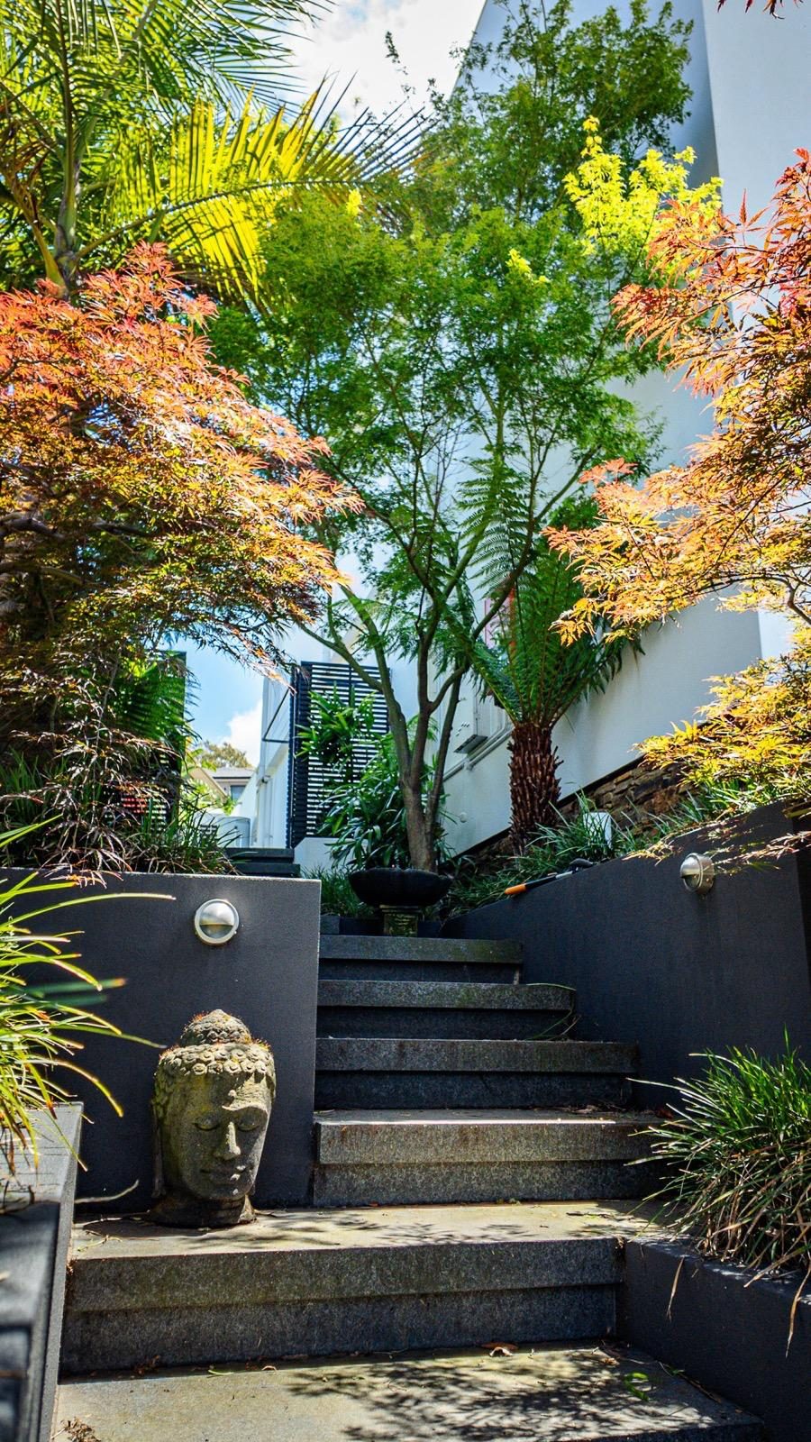 Stone garden steps framed by Japanese maples