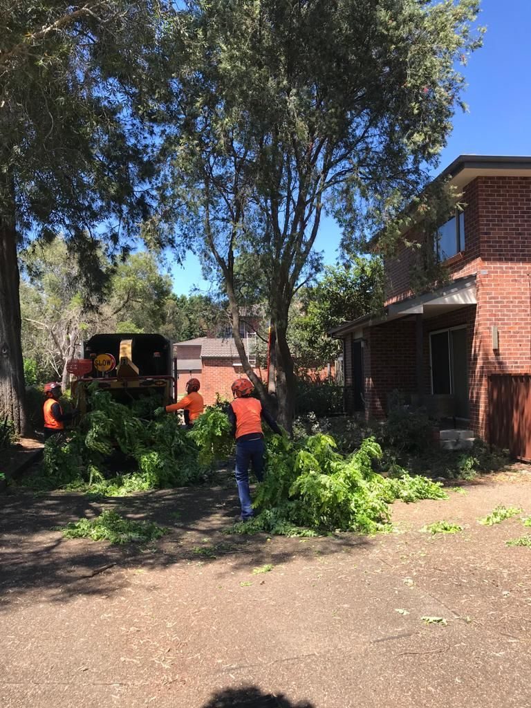 Hi-vis crew clearing fallen branches from a driveway beside a brick home