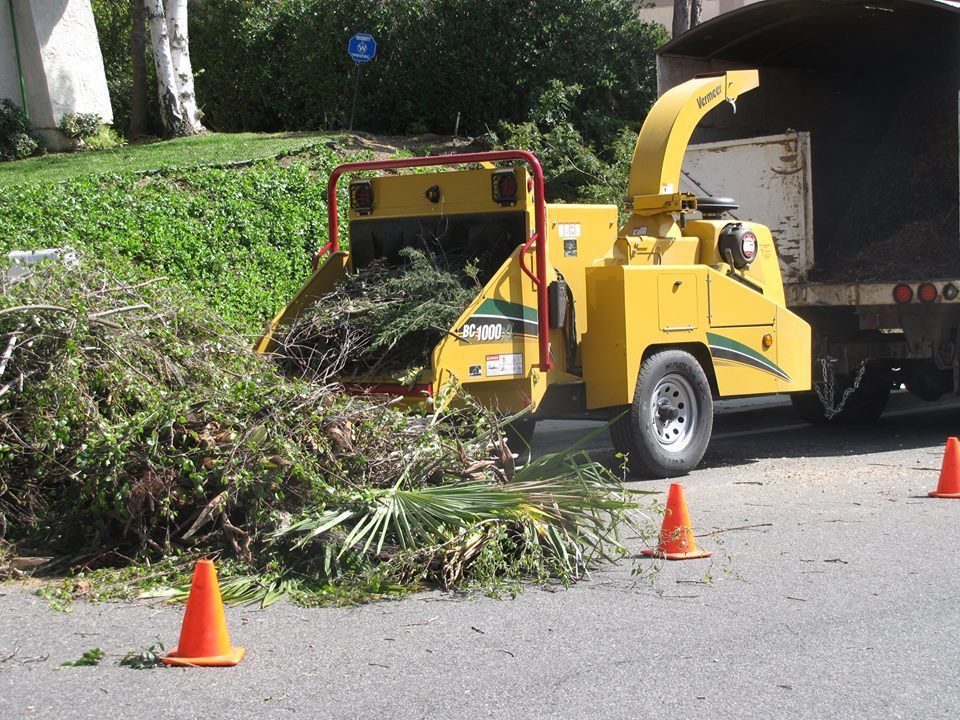 Wood chipper processing pruned branches at the kerb during a tree job