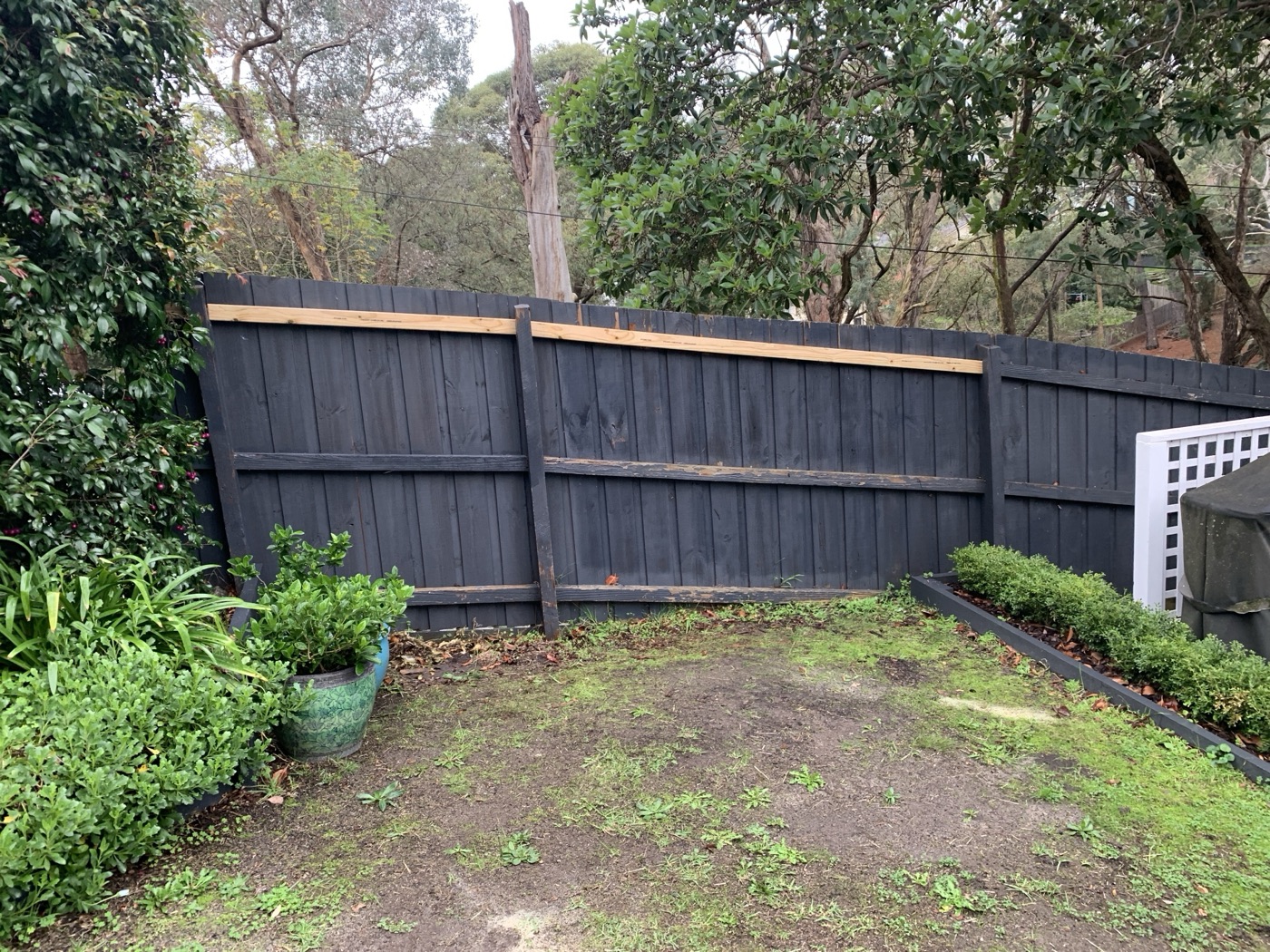 Fence repair and repaint by JT in Mitcham