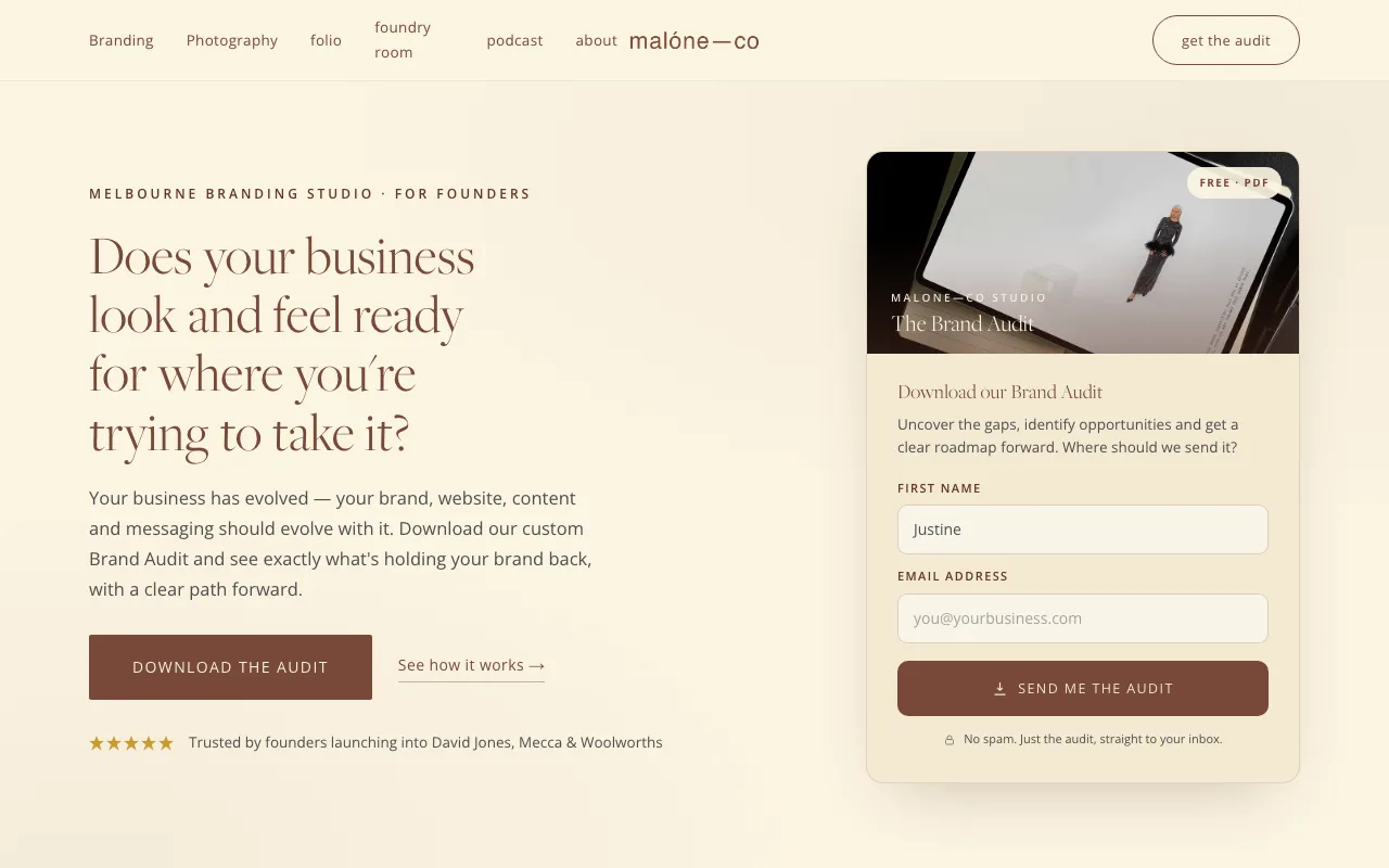 Brand Audit landing page — hero copy with an audit download card