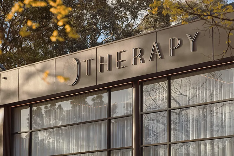 Therapy brand identity