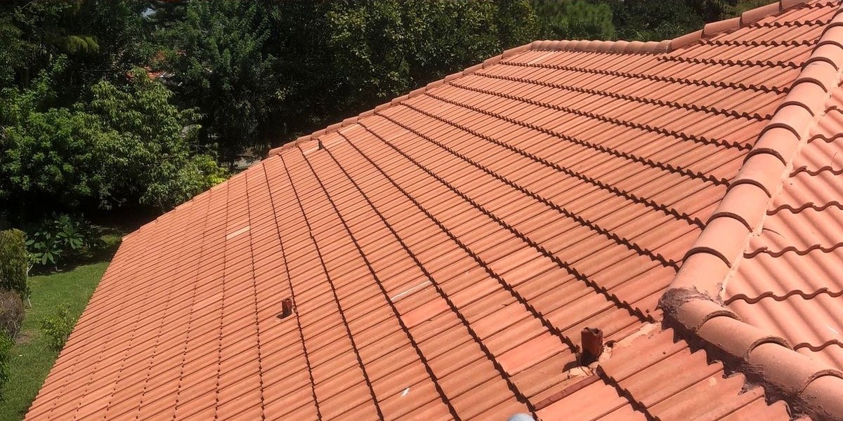 The same terracotta tile roof after a full Pro Shield restoration, cleaned, repointed and resealed